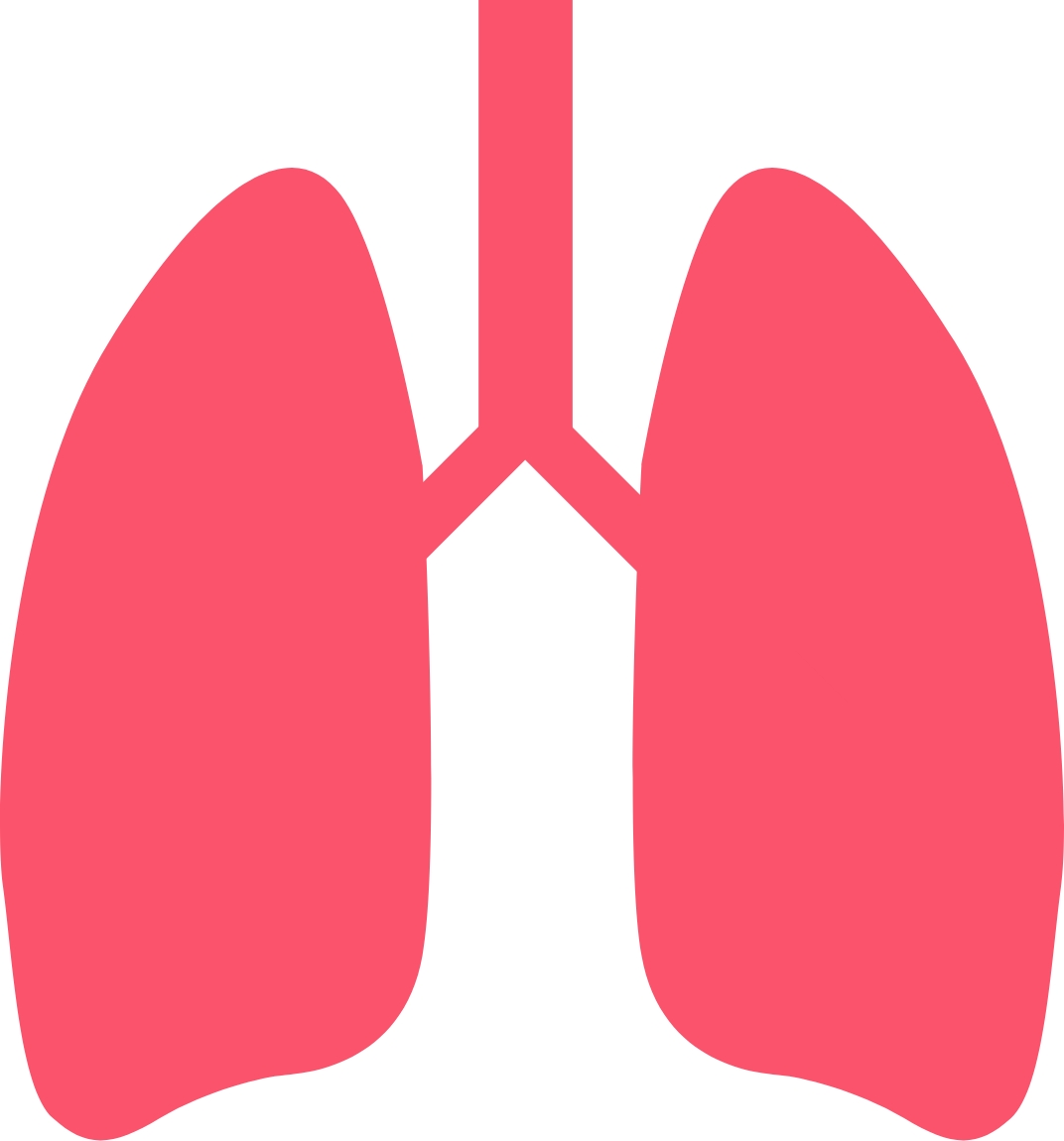 Lungs image