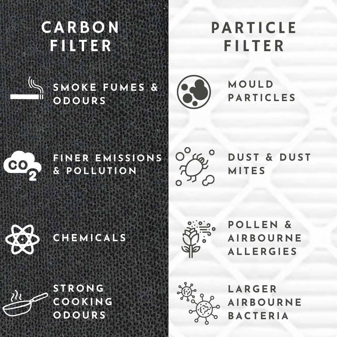 carbon vs particle filter